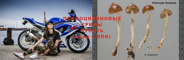 соль курить ск Протвино