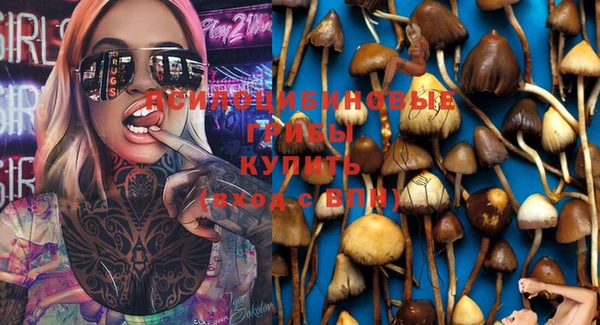 каннабис Алексеевка